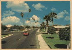 Del Webb Boulevard, Sun City, Arizona Postcard