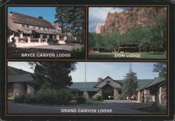 Bryce Canyon, Zion, Grand Canyon National Parks Lodges Postcard