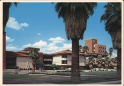 University of Arizona Campus View, Tucson, Arizona Postcard