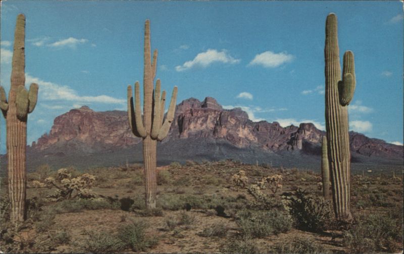 Superstition Mountain & Giant Saguaros, Mesa, Arizona
