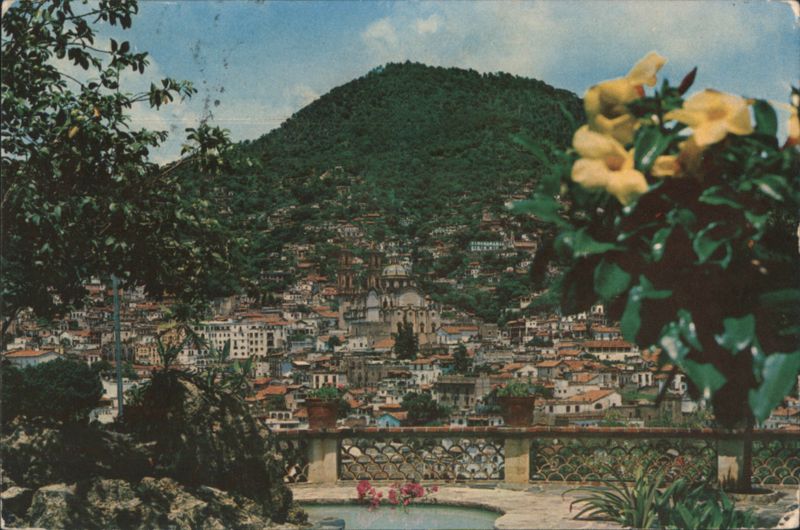 View of Taxco, Mexico from Casa Manning with Yellow Flowers