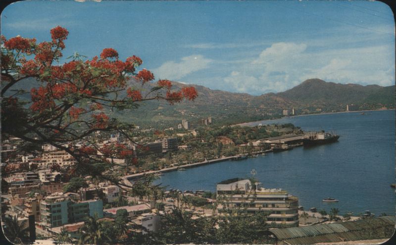 Panoramic View of Acapulco Bay, Mexico GRO Mark Turok