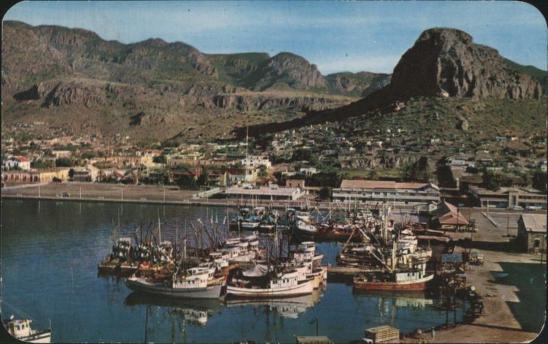 Shrimp Boats in Guaymas Harbor, Sonora, Mexico