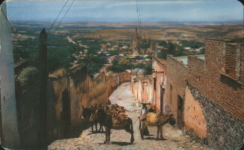 San Miguel Allende Street Scene with Donkeys and Town View Mexico