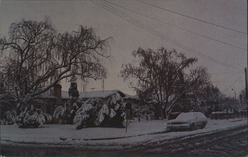 Snowy Streets of Ciudad Juarez CH Mexico Roberto López Díaz