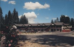 Wildwood Inn Motel, Twain Harte, California Postcard