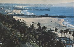 Santa Monica Ocean Avenue Beach Piers & Palm Trees Postcard