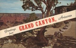 Grand Canyon Yavapai Point Landscape, Arizona Postcard