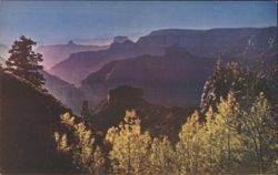 Grand Canyon North Rim Point Imperial View, Arizona Postcard