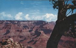 Grand Canyon National Park, Arizona Postcard