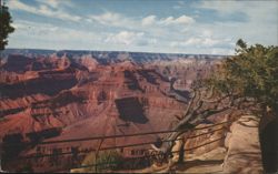 Hopi Point, Grand Canyon National Park, Arizona Postcard