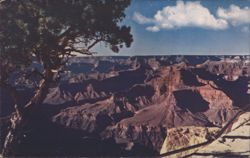 Grand Canyon National Park, Arizona - Long Shadows of Evening Postcard