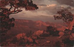 Grand Canyon, Hopi Point at Sunset Postcard