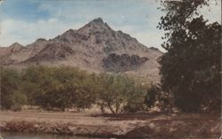 Squaw Peak and Arizona Canal, Phoenix AZ Postcard