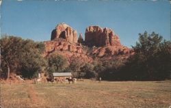 Cathedral Rock with Horses and Barn, Sedona, Arizona Postcard