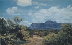 Superstition Mountain, Arizona with Palo Verde Trees Postcard