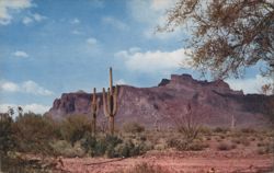 Superstition Mountain Desert Landscape, Arizona Postcard