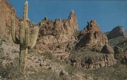 Saguaro Cactus in Superstition Mountains, Arizona Postcard
