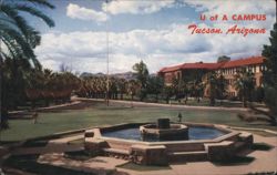 University of Arizona Campus, Tucson - Wishing Well Postcard