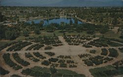 Gene Reid Lake & Rose Test Garden, Randolph Park Postcard