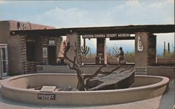 Lizard Pit at Arizona-Sonora Desert Museum Postcard