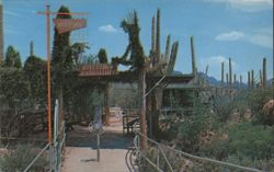Watershed Ramada, Sonora Desert Museum Postcard