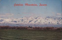 Catalina Mountains, Tucson with Snow Caps Postcard