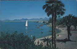 Lake Havasu Beach, Sailboat, Palm Trees, Lake Havasu City, AZ Postcard