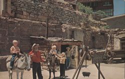 Prospectors, Burros, and Family in Jerome, Arizona Postcard