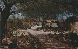 Ghost Ranch Lodge Cactus Garden, Tucson Postcard