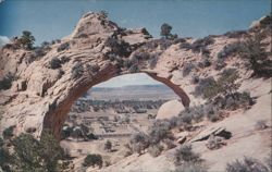 Window Rock, Arizona Natural Arch View Postcard