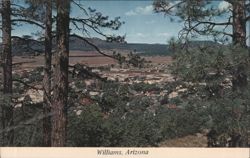 Williams, AZ - Pine Country Gateway to Grand Canyon Postcard