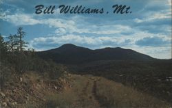 Bill Williams Mountain, Williams, Arizona Postcard