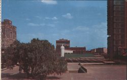 National University of Mexico Campus, Mexico City Postcard