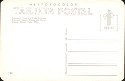 back