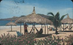 Las Gaviotas Beach, Mazatlán, Mexico with Palapas Postcard