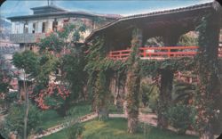 Hotel Balneario San Jose Purua, Mexico - Dining Room Access Postcard