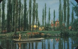 Xochimilco Main Canal with Boats and Cypress Trees Postcard