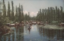 Xochimilco Canals with Boats and Tall Trees Postcard