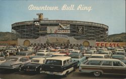 Downtown Bull Ring, El Toreo de Tijuana Postcard