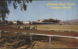 Caliente Race Track, Tijuana, Mexico Postcard