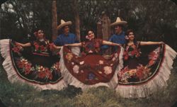 Mexican Folkloric Dance Group, Isthmus of Tehuantepec Postcard