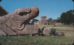 Plumed Serpent Head, Temple of Jaguar, Chichen Itza Postcard