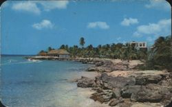Beaches of Cozumel with Coastal Buildings and Palms Postcard