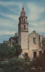 The Cathedral of Cuernavaca, Morelos Postcard