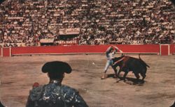 Bullfight in Mexico Arena, Matador and Bull Postcard