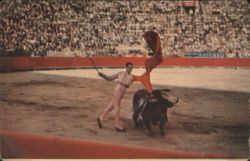Bullfight: Matador Performing El Pase de Pecho Postcard