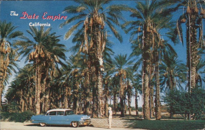 The Date Empire California - Date Harvest Indio