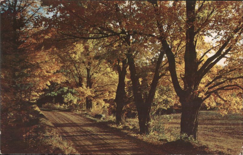 Country Road Through Golden Maples Richard K. Dean