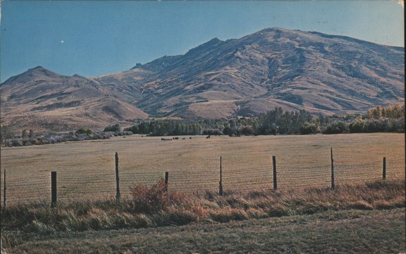 Nevada Mountain and Meadows with Grazing Cattle Gordon Campbell